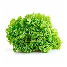 Lechuga Crespa x 250gr - 350gr aprox