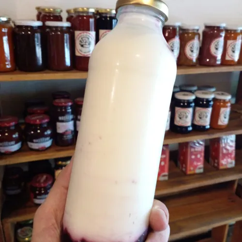 Yogur Natural con Boysenberry "Elaboración Propia" x 500cc