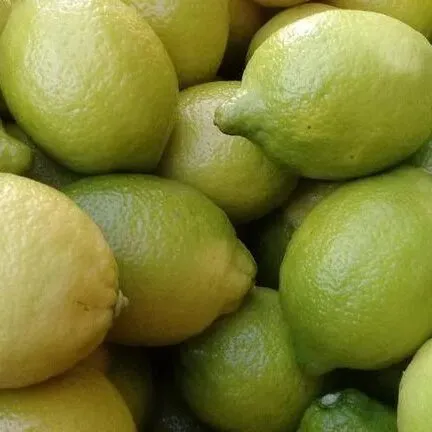 Limón x kg