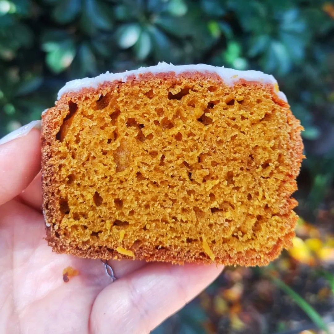Budín de Zanahorias AGRO "Elaboración Propia"
